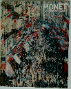 MONET ART DE MONET ET SA POSTERITE