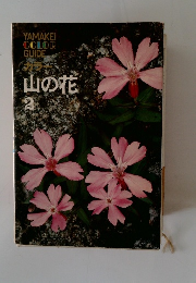 カラー山の花 2