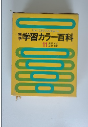 標準学習カラー百科　１１