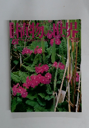 植物の世界　６１