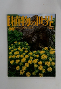週刊朝日百科　5/14号　植物の世界 56