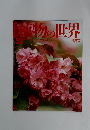植物の世界　52　4/16号