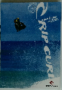 RIP CURL　