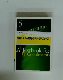 情報システム開発・テスト・導入フェーズ