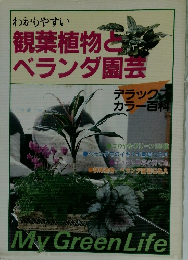 わかりやすい 観葉植物と ベランダ園芸