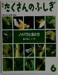 たくさんのふしぎ　1995年6月号