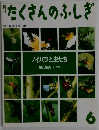 たくさんのふしぎ　1995年6月号