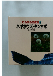 ひろびろ三原色　5 ネギボウズ・タンポポ