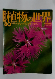 植物の世界　80　