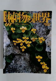 物の世界　69　8月13日