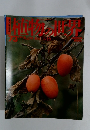 植物の世界　73　9月10日