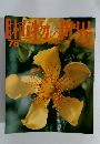 植物の世界　78　10月15日号