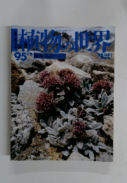 植物の世界　95　2/18号
