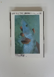 フライの雑誌　1995　No.29