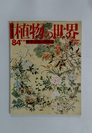 植物の世界　84　11月26日