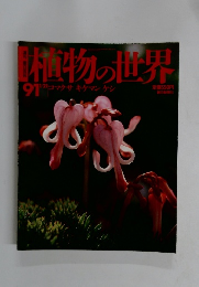 植物の世界　91　1/21