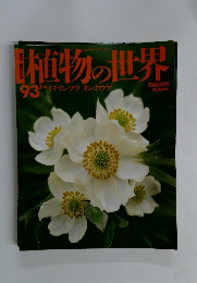植物の世界　93　2月4日号