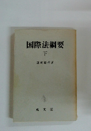国際法綱要　下