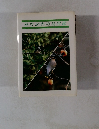 かながわの鳥図鑑