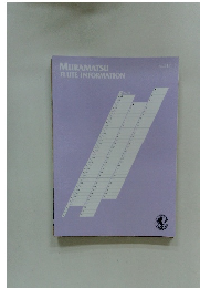 MURAMATSU FLUTE INFORMATION