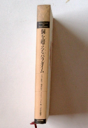 個を超えてパラダイム