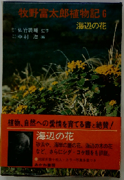 牧野富太郎植物記「6」海辺の花