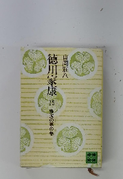 徳川家康　15 難波の夢の巻