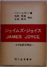 ジェイムズ ジョイスーその批評的解説