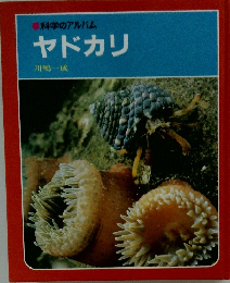 科学のアルバム ヤドカリ