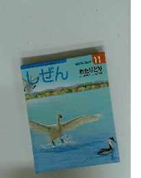 しぜん　11　わたりどり　