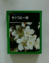 科学のアルバム サクラの一年