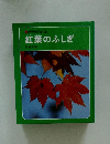 科学のアルバム　紅葉のふしぎ