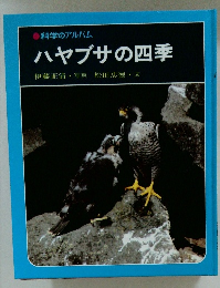 科学のアルバム ハヤブサの四季