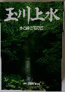 玉川上水 水と緑と花の径