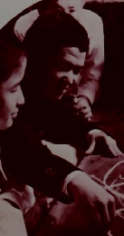 中学生の新しい数学シリーズ　第14巻　論証のしかた