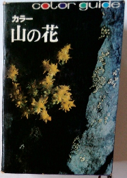 colorguide山の花