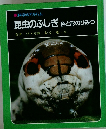 昆虫のふしぎ色と形のひみつ