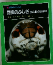 昆虫のふしぎ色と形のひみつ