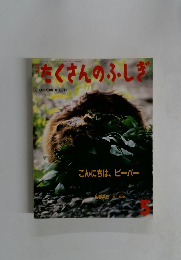 たくさんのふしぎ　2000年5月号