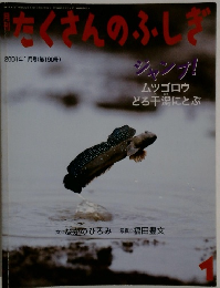 たくさんのふしぎ　2001年1月号　第190号
