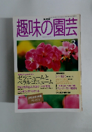 趣味の園芸　1999年3月号