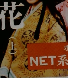 幻花　上　瀬戸内晴美