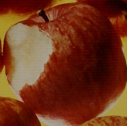 すぐわかる病気の 症状百科