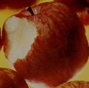 すぐわかる病気の 症状百科