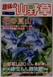 趣味の山野草 2011-7