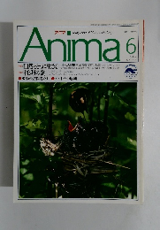 Anima　1992年6月号　No.237