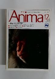 アニマ　1991年12月号 No.231