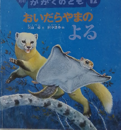かがくのとも 12 おいだらやまのよる