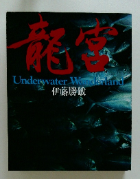 龍宮 Underwater Wonderland