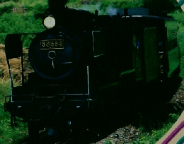 ベスト図解百科6　すせそた